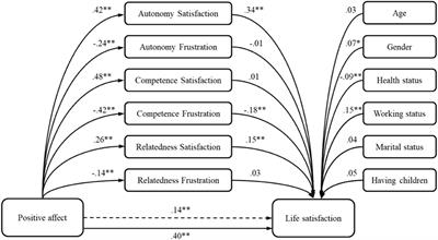 The Role of Basic Psychological Needs in Well-Being During the COVID-19 Outbreak: A Self-Determination Theory Perspective